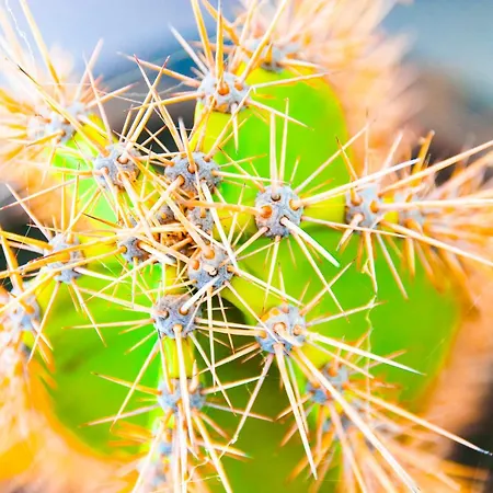 別荘 Casa Chinija De Famara