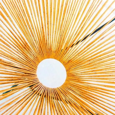 Casa Chinija De Famara Tatil Evi Teguise (Lanzarote)