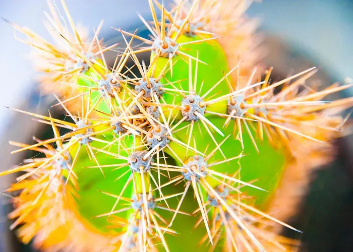 Vakantiehuis Casa Chinija De Famara